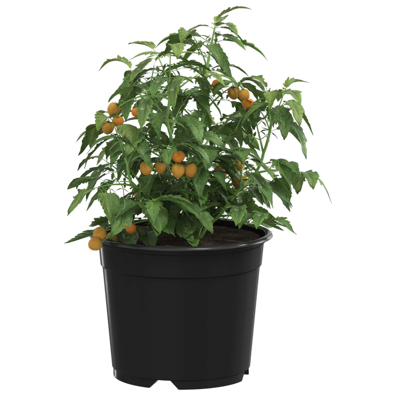 Ümmargune lillepott 200 tk Must Ø 10 x 8 cm Plastmass