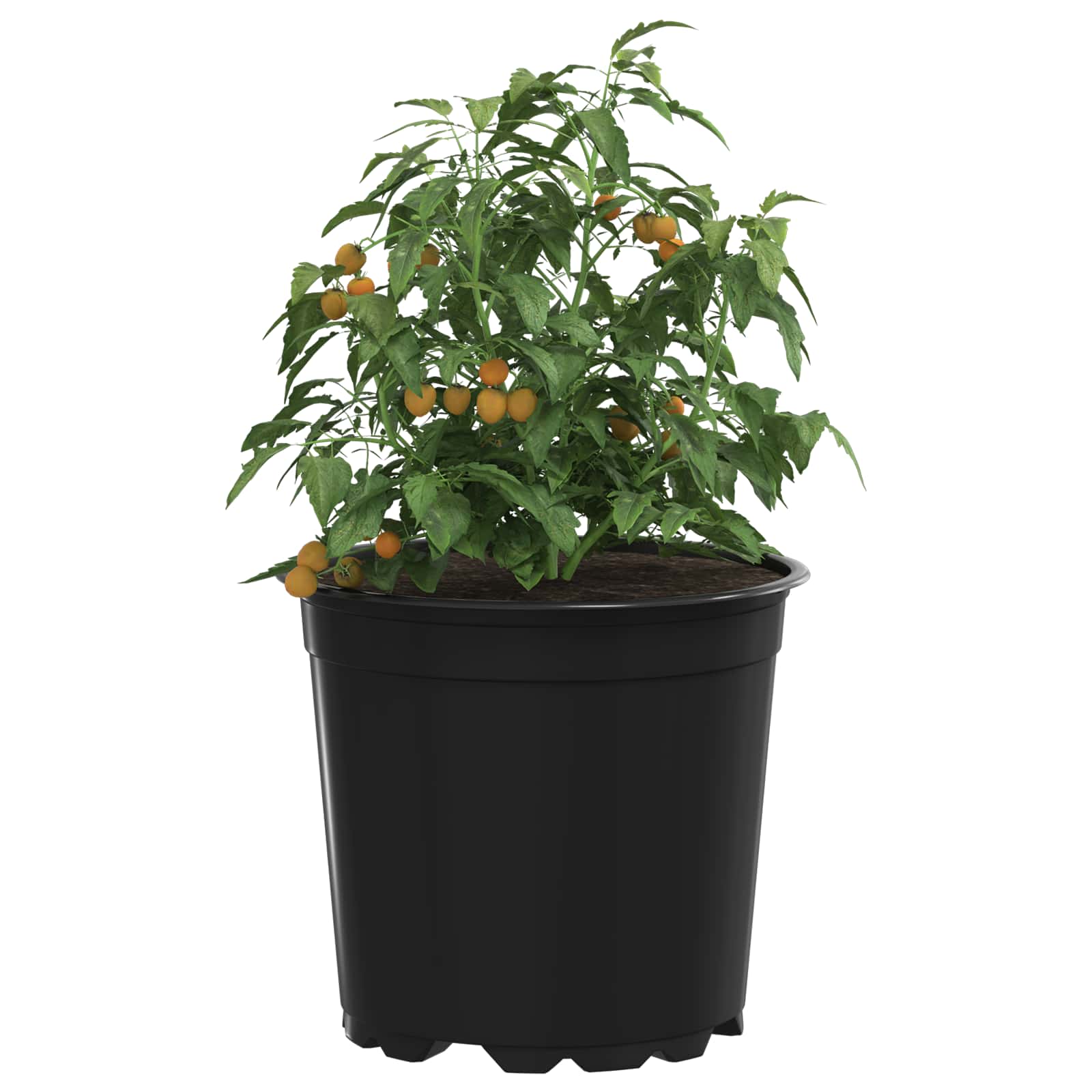 Ümmargune lillepott 100 tk Must Ø 15 x 13 cm Plastmass