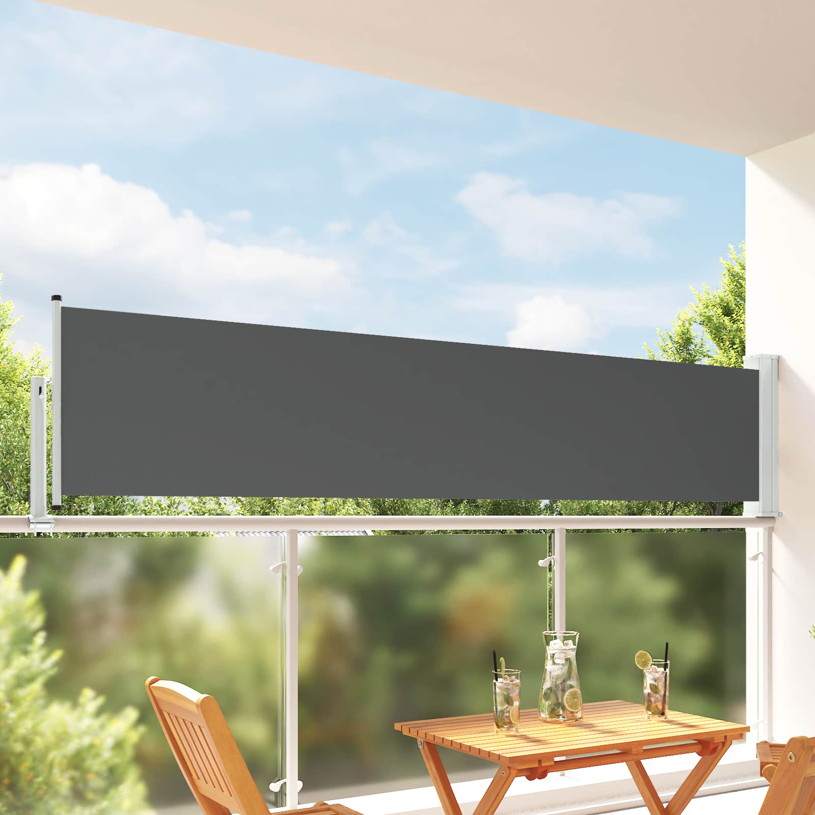 Külgmarkiis 100 x 300 cm 100% polüester, raua ja terase segu