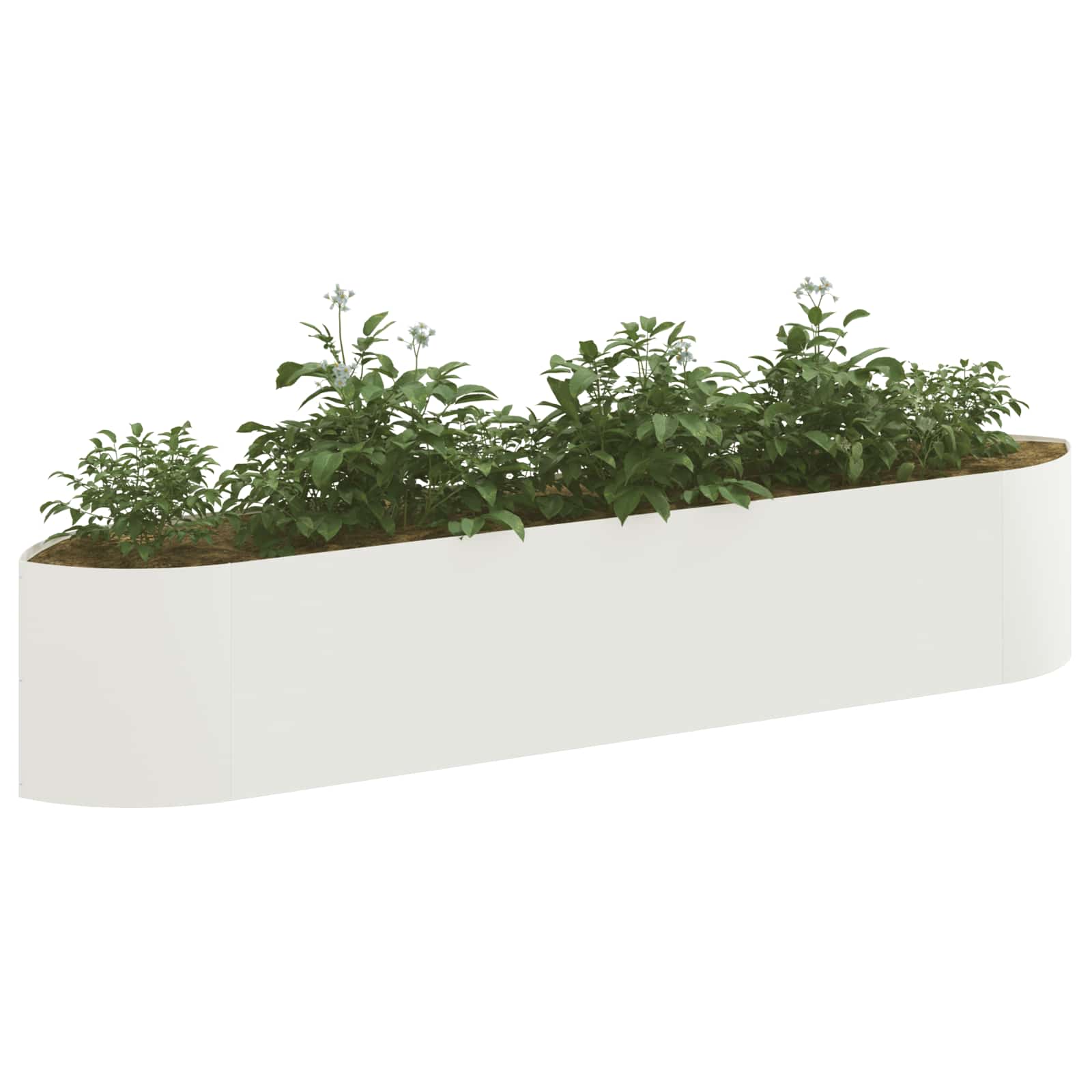 Tõstetud Aiapeenar Valge 220 x 40 x 40 cm Teras