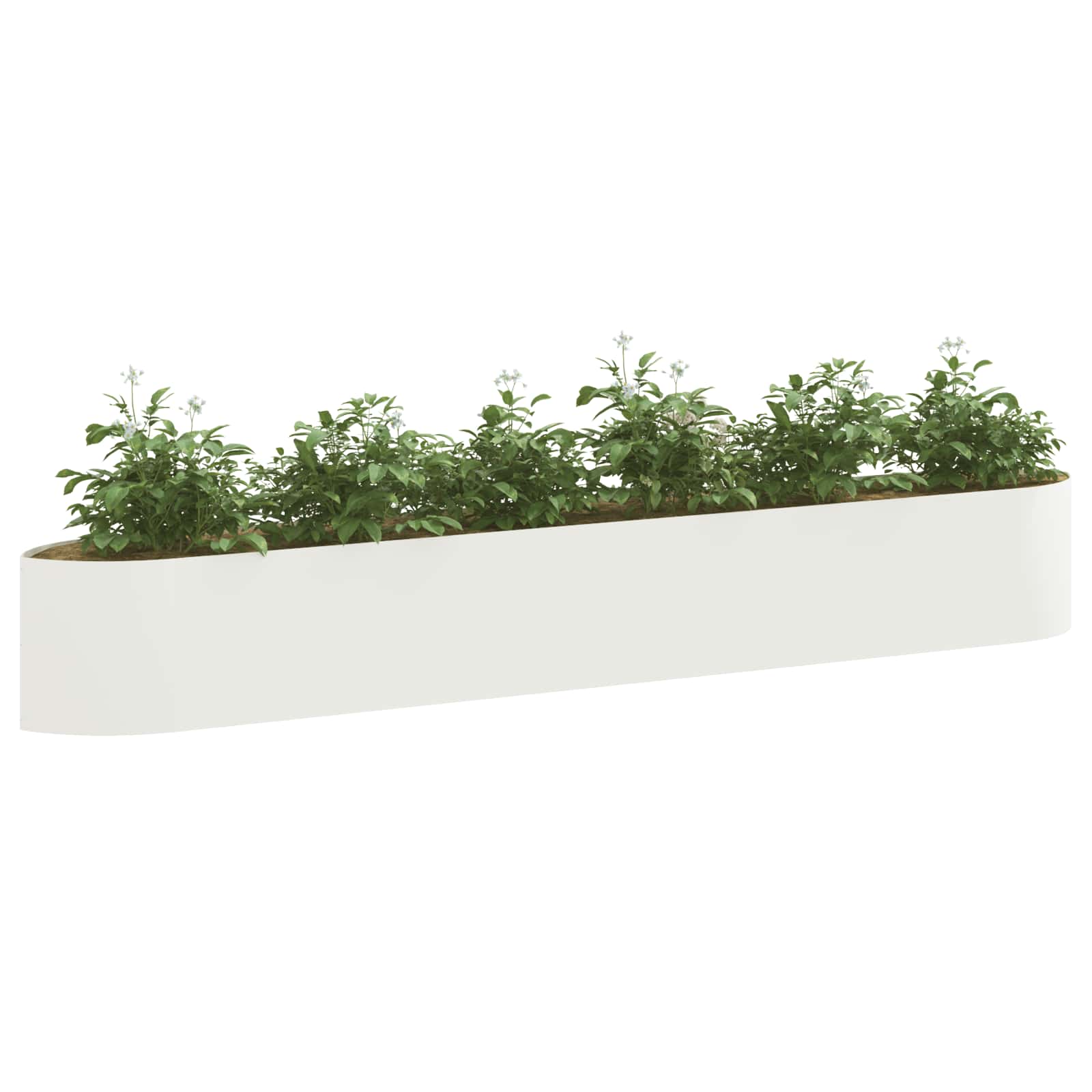 Tõstetud Aiapeenar Valge 300 x 40 x 40 cm Teras