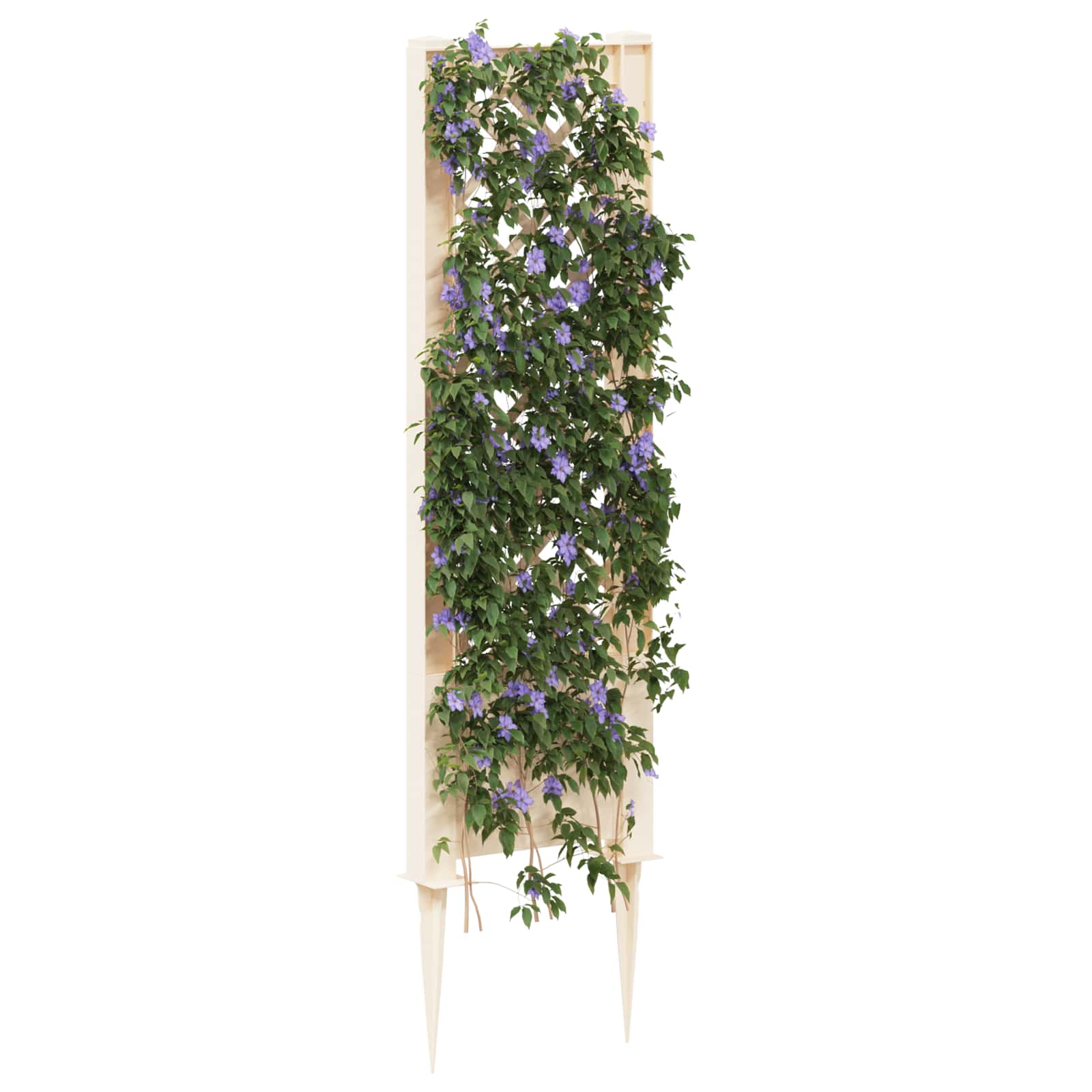 Trellis okkaga PP Valge