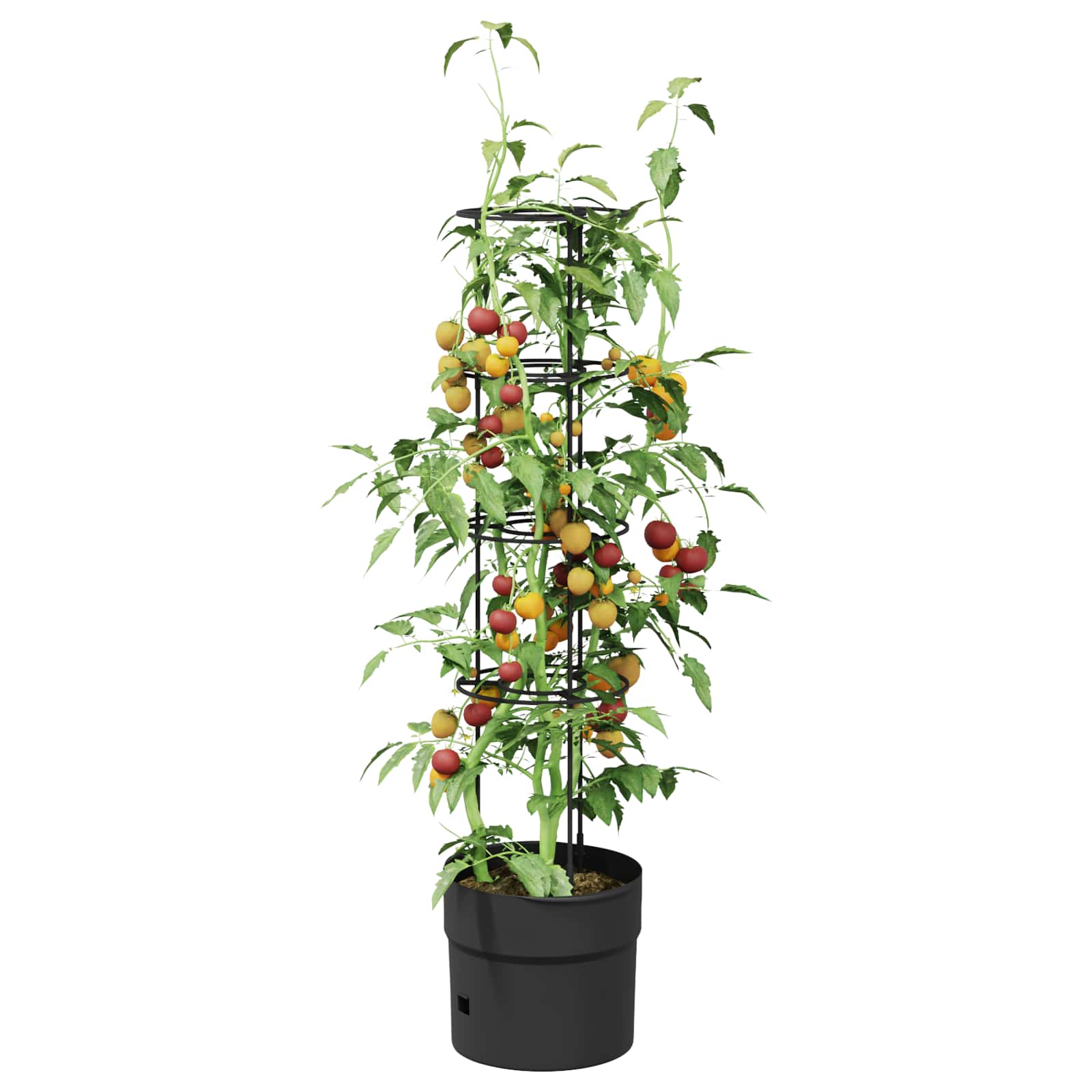 Tomati Kasvataja Must Ø 32 x 127 cm PP