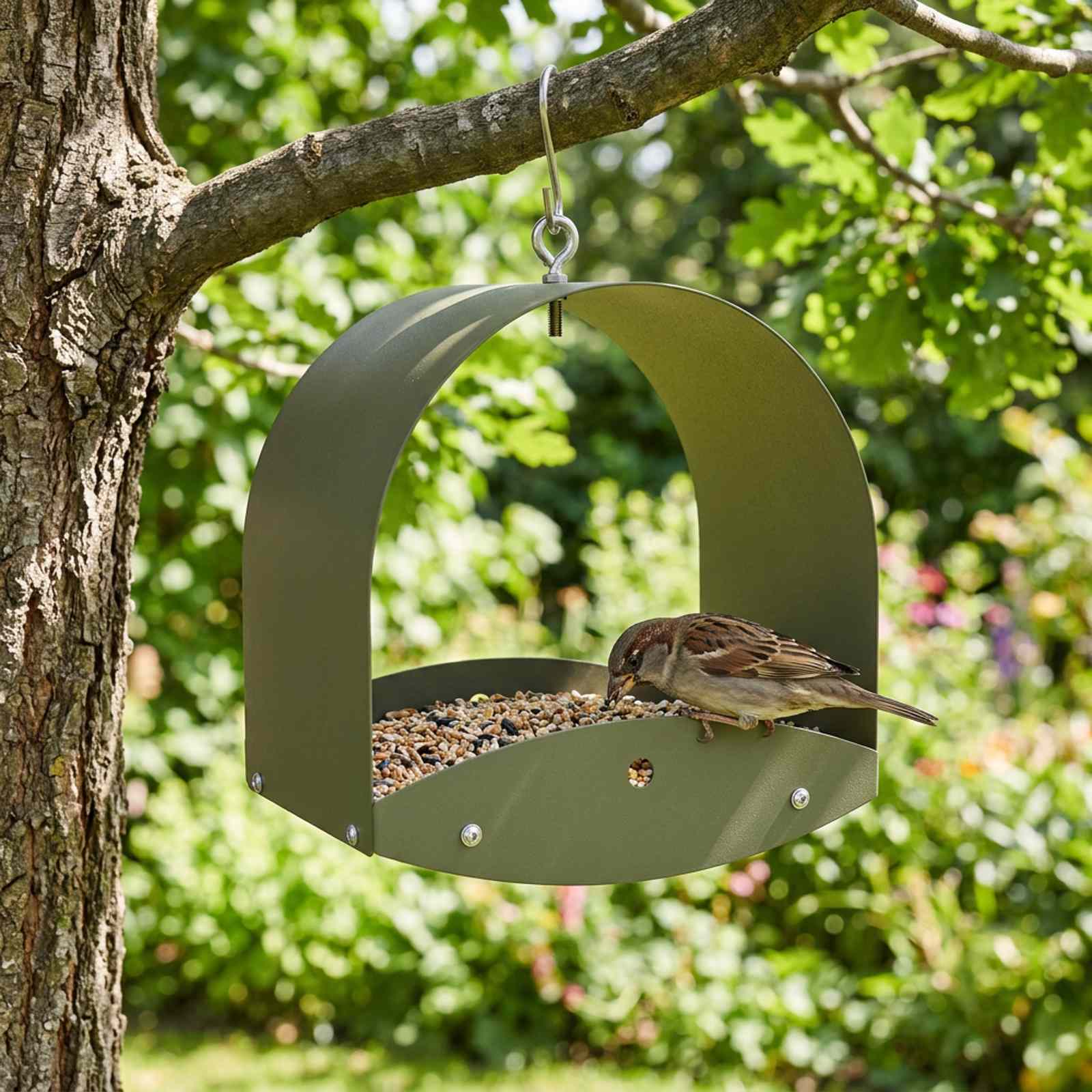 Rippuv linnusöötja Teras Oliiviroheline