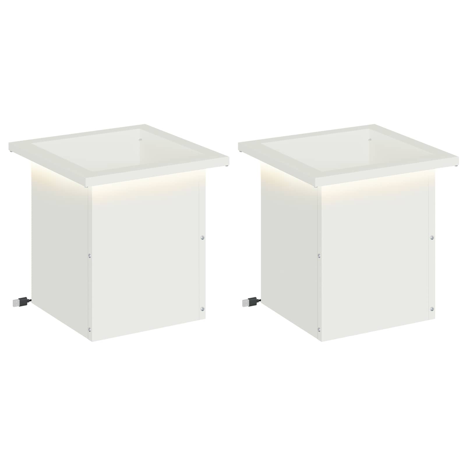 LED-valgustusega lillekast 2 tk Valge 30 x 30 x 30 cm Teras