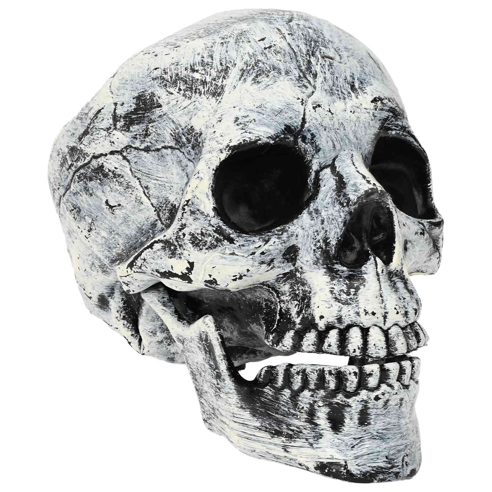 Halloweeni pealuu SPOOKA 2 tk Valge 12 x 15 x 17,5 cm Plastmass