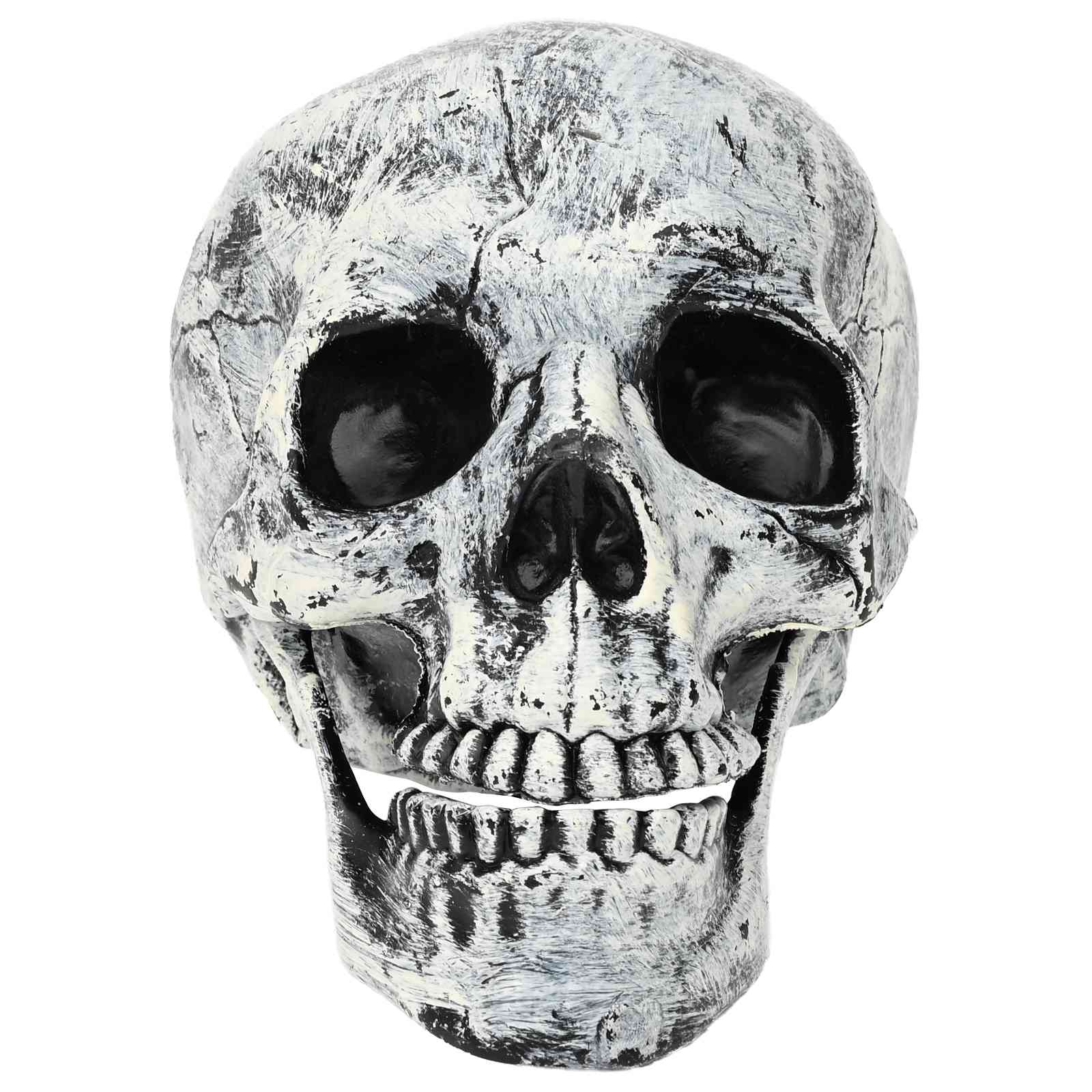 Halloweeni pealuu SPOOKA 2 tk Valge 12 x 15 x 17,5 cm Plastmass