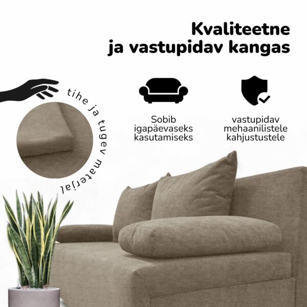 Kahekohaline lahtikäiv diivanvoodi X LIGHT